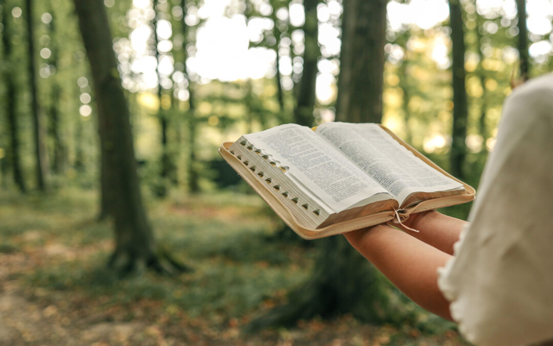 Trusting God in Every Step