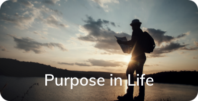 Purpose in Life