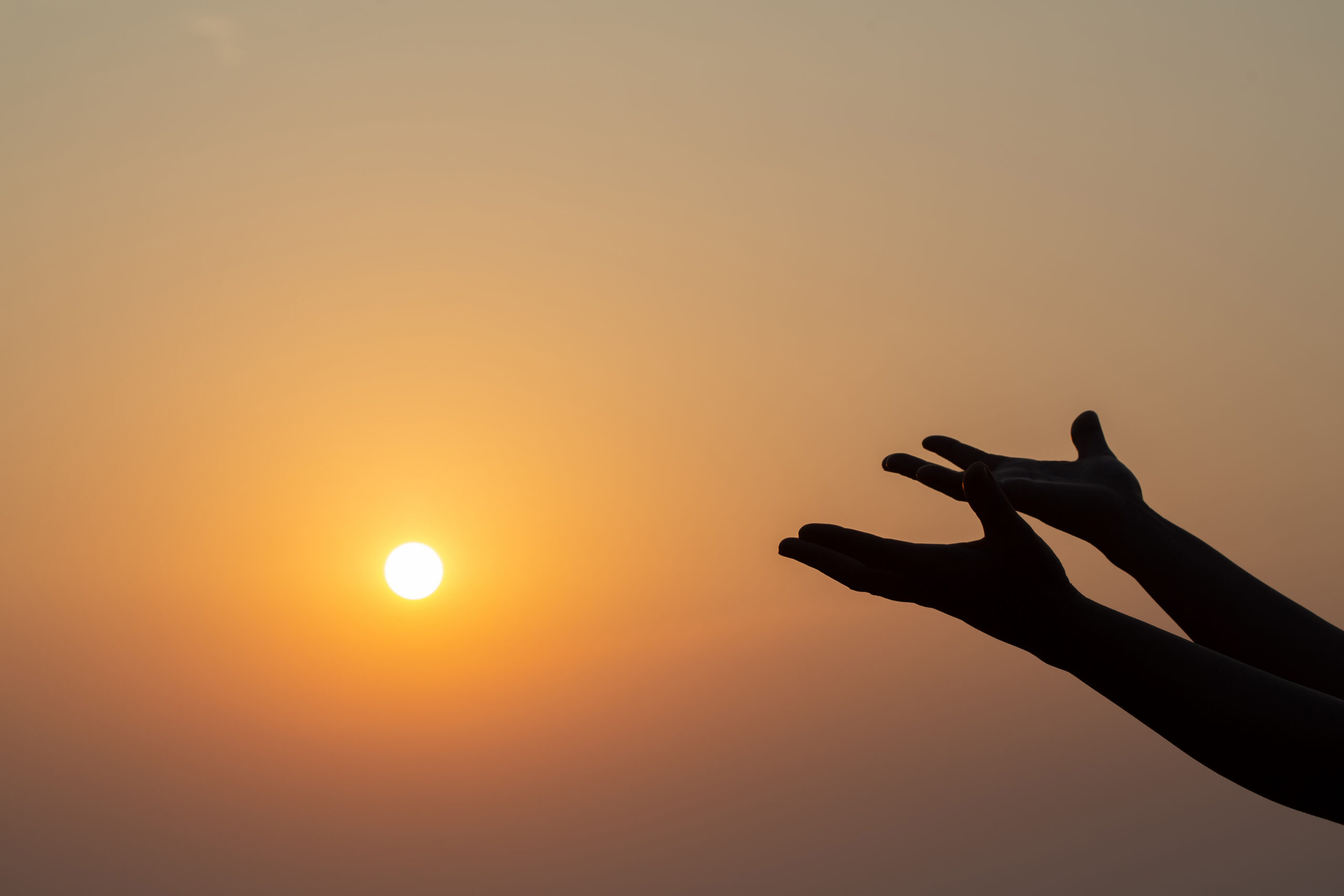 He Will Save His People