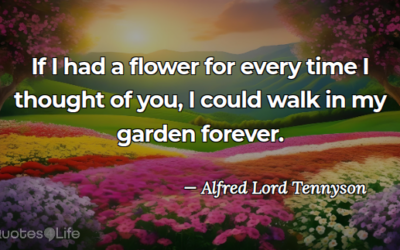 A Heart Full of Flowers Today