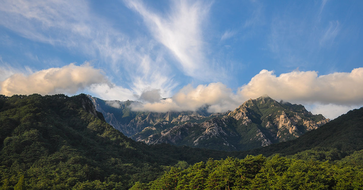 Evangelist Cho’s Impossible Mission to North Koreans