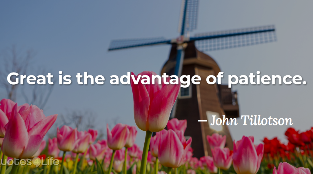 Waiting Has Its Rewards