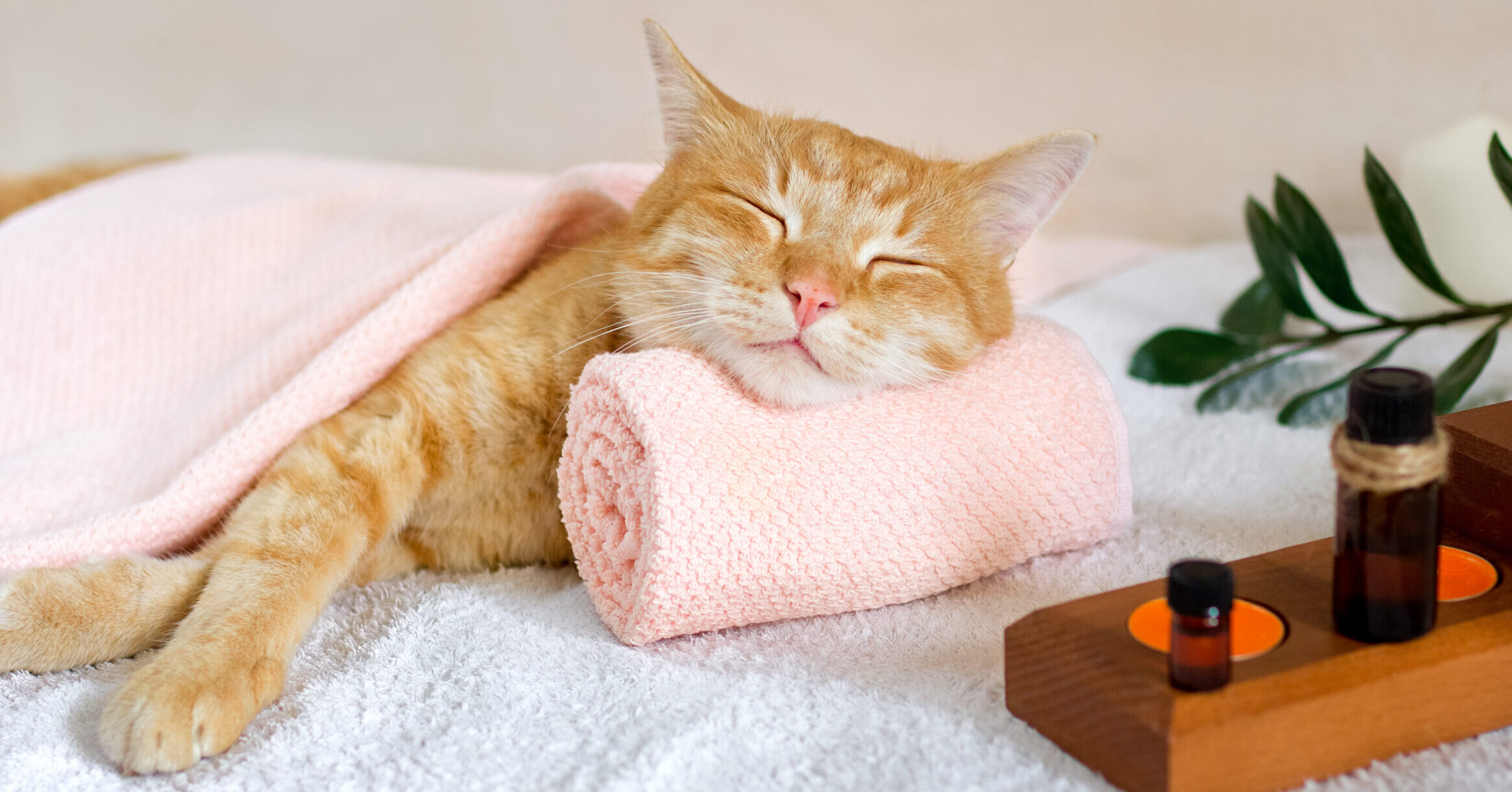 The Sacred Gift of Rest: Why We Must Pause and Trust God