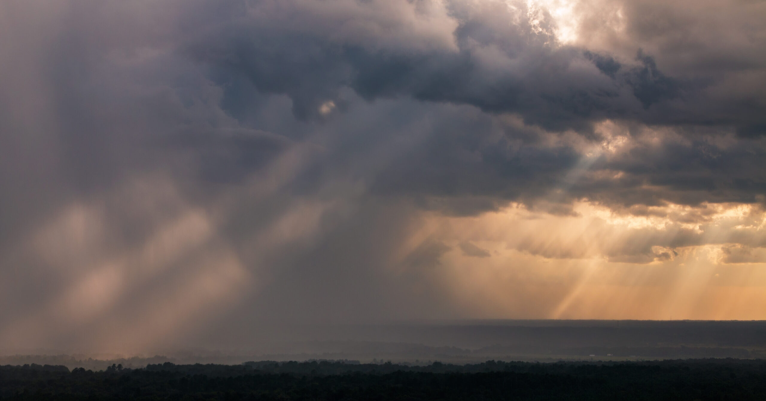 Everything Happens for a Reason