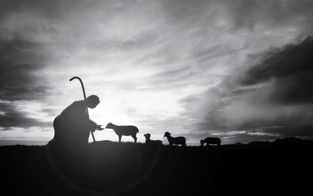 How to Shepherd an Anxious Soul