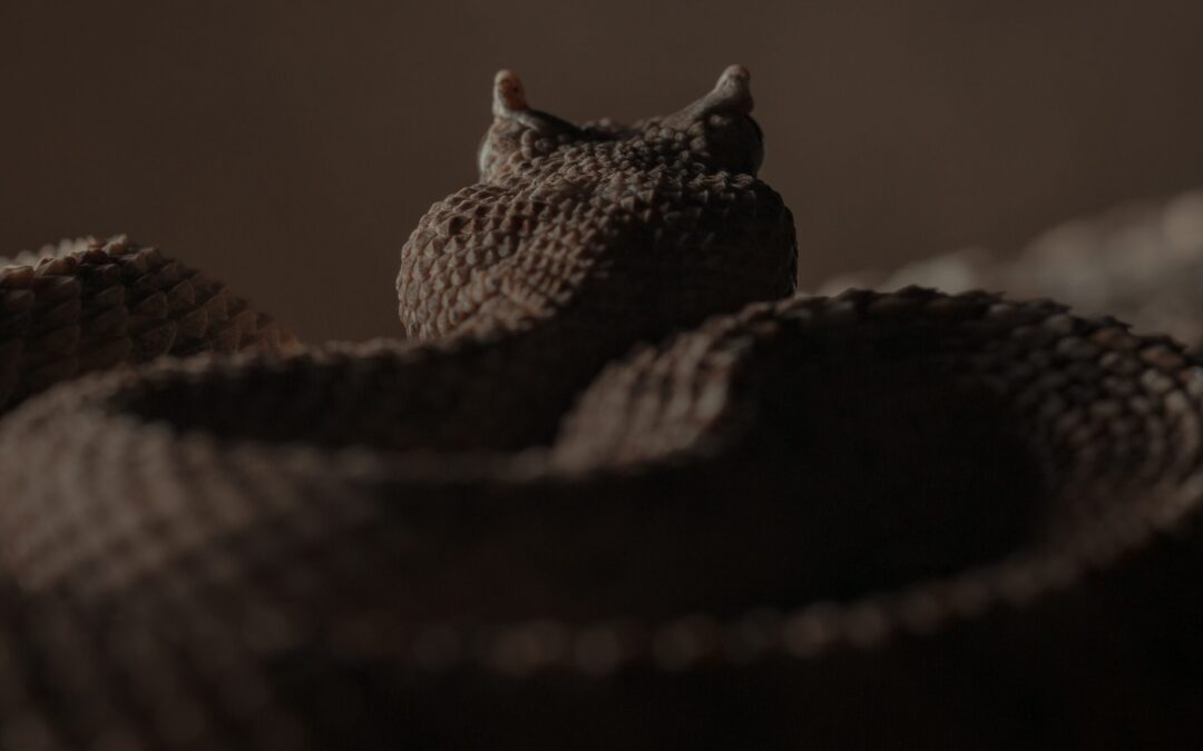 How to Fight Spiritual Warfare in Marriage