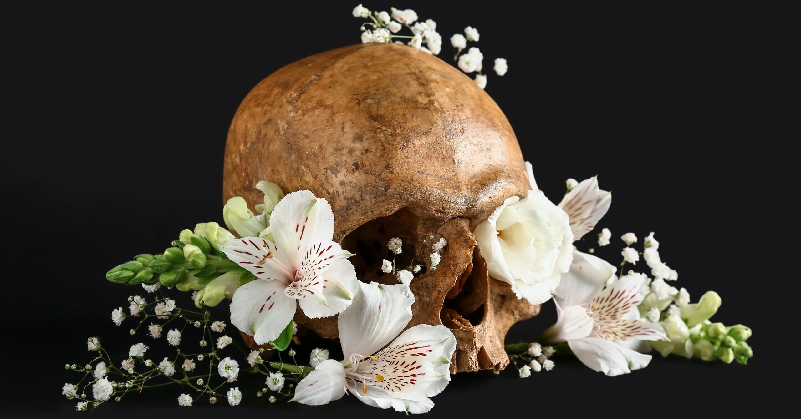 Dry Bones Don’t Resurrect Themselves