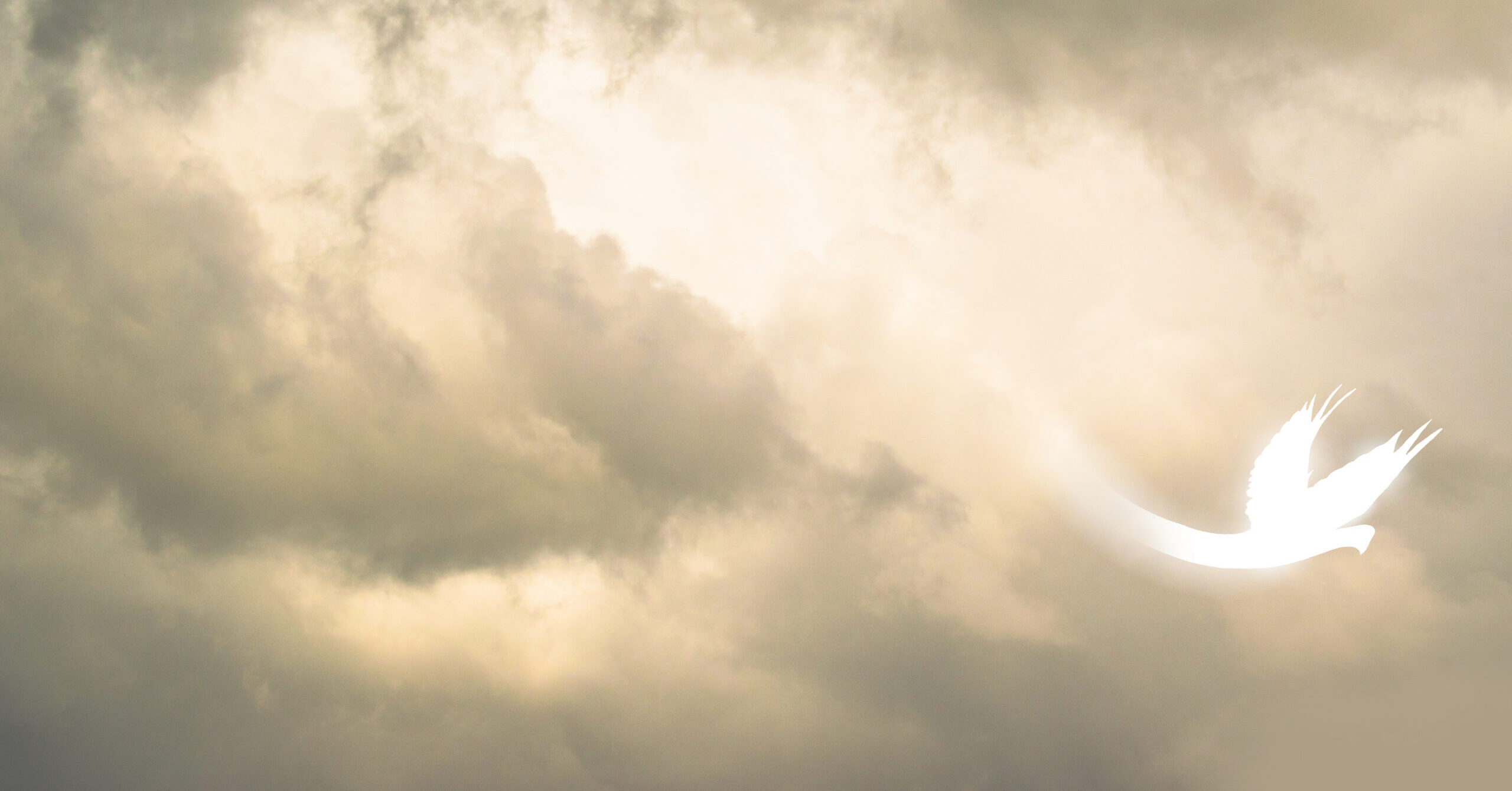 How to Walk in the Power of the Holy Spirit