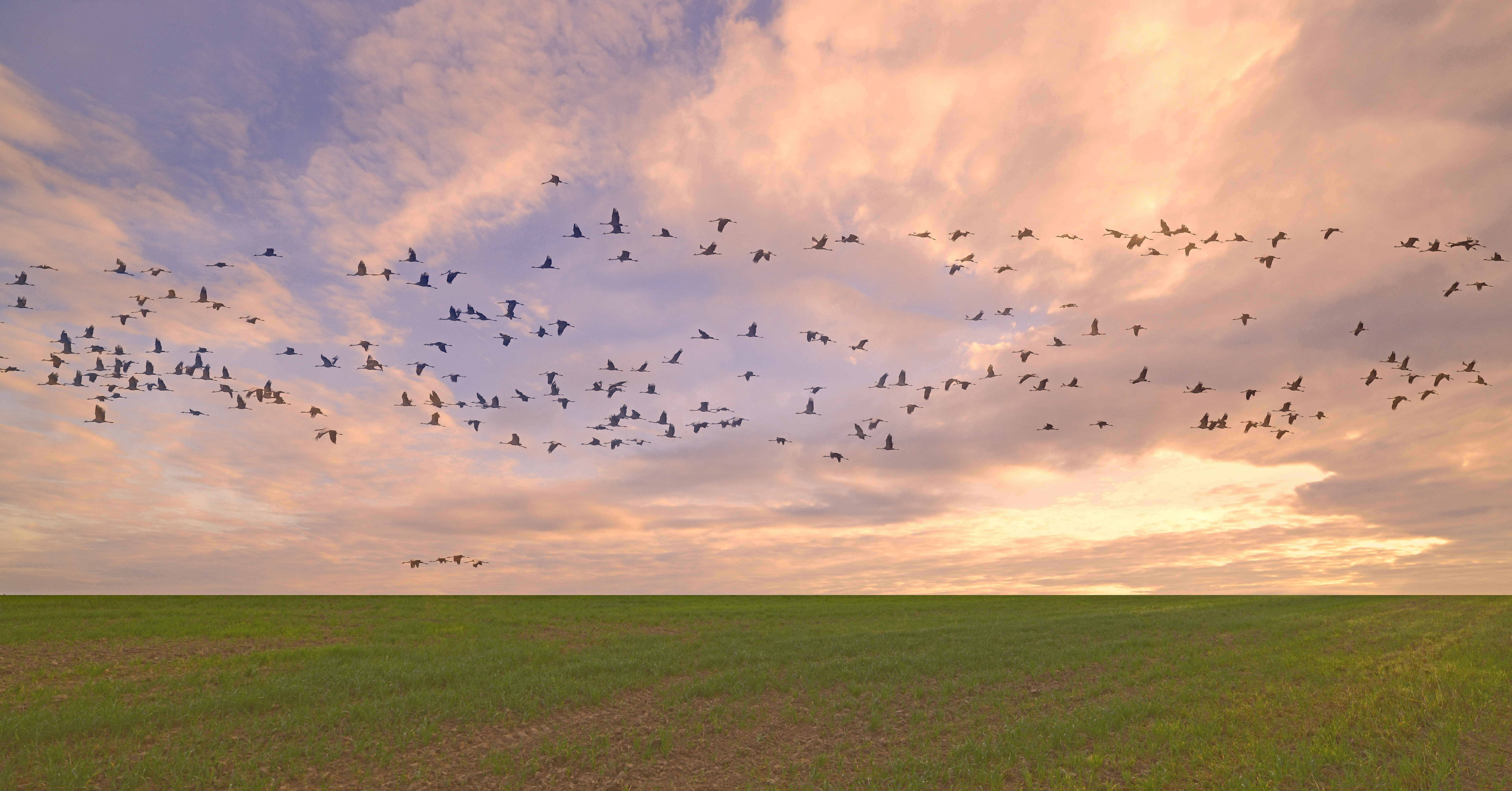 Give Thanks for Abundance — and Beware