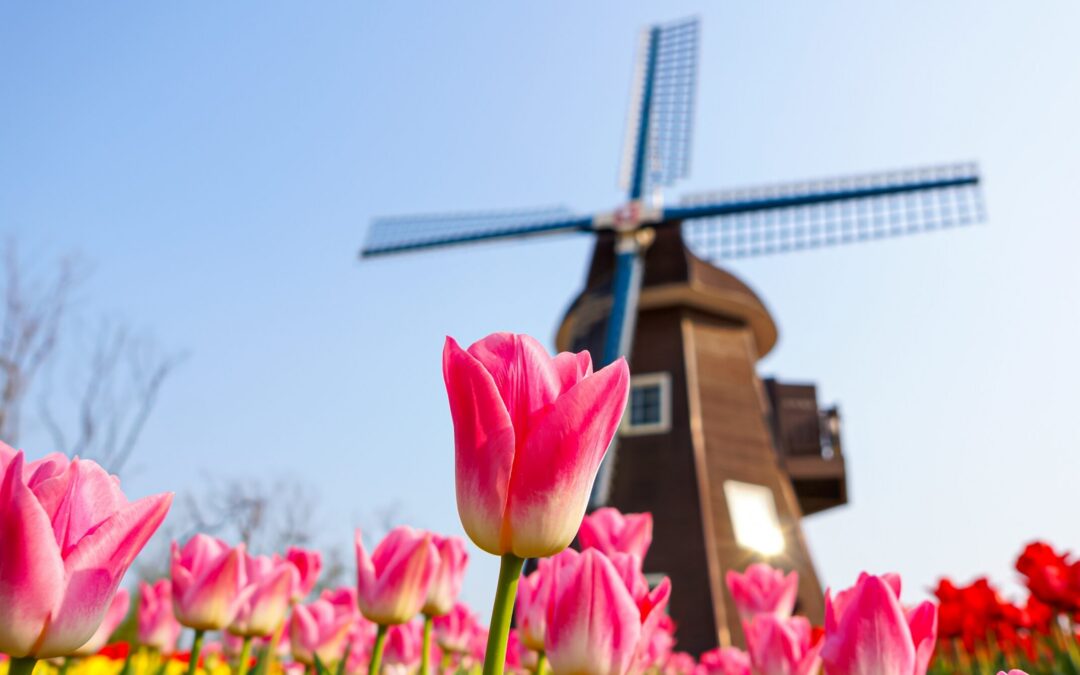 10 Prayers to Help Us Spring Clean Our Lives