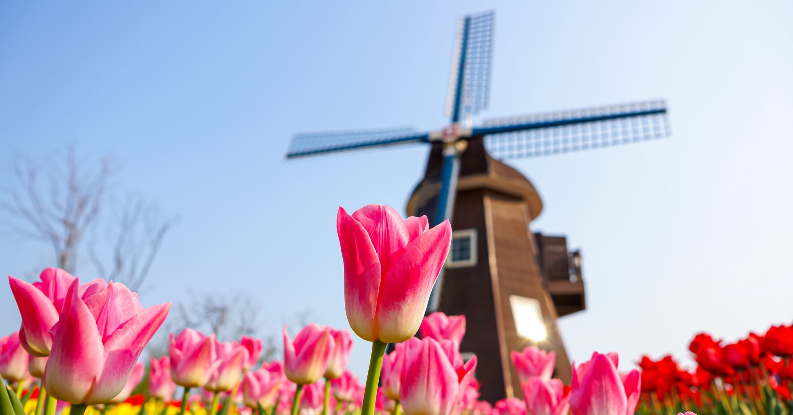 10 Prayers to Help Us Spring Clean Our Lives