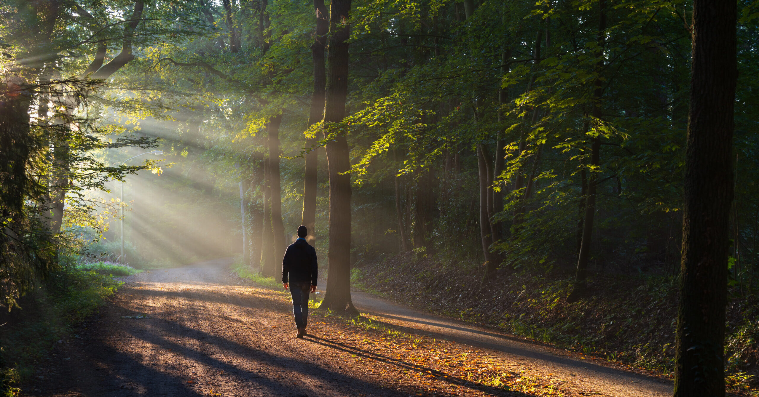 Walking Toward Freedom
