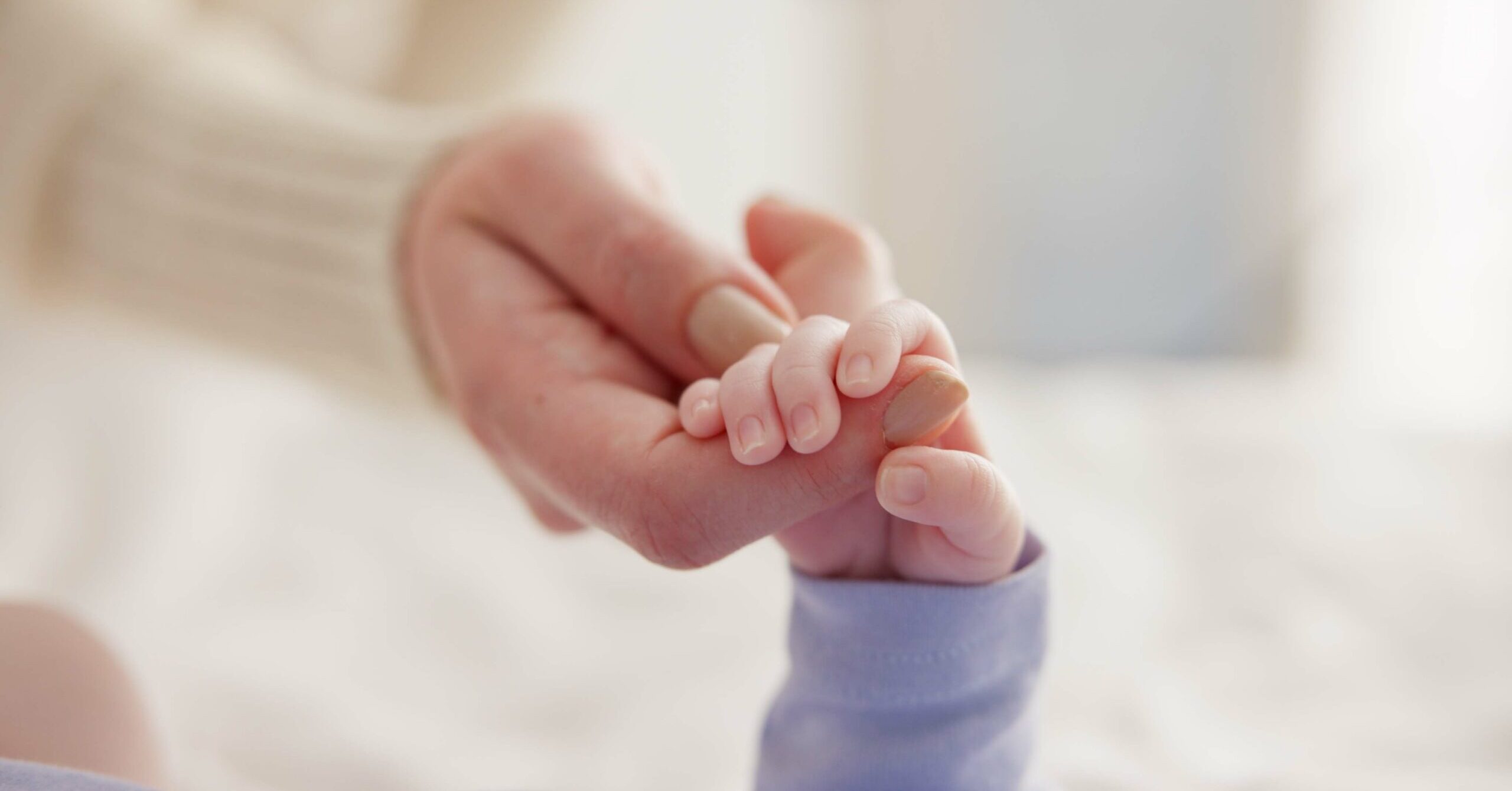 What the Bible Says About the Beginning of Life